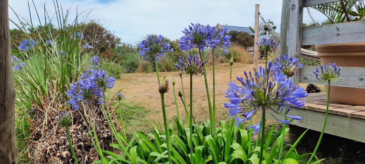 Dejeps Villa Punta Del Diablo Kültér fotó